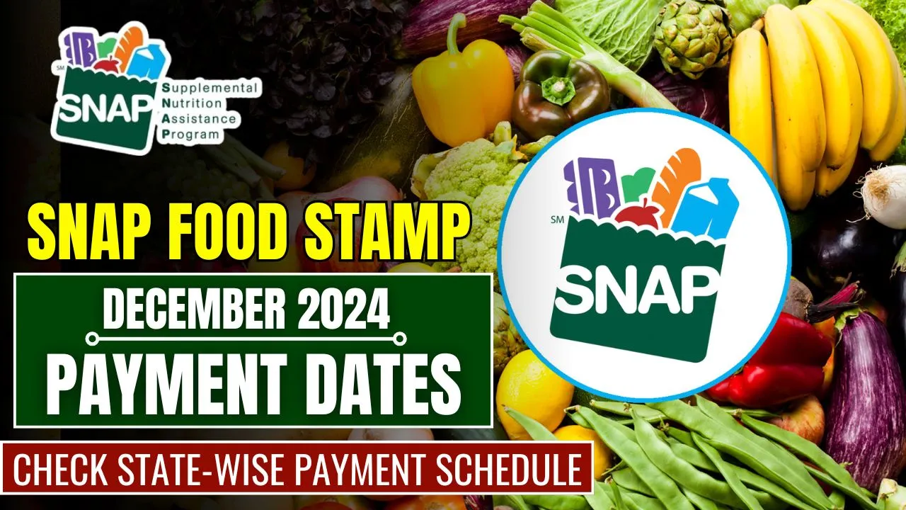 SNAP Food Stamp Payments December 2024